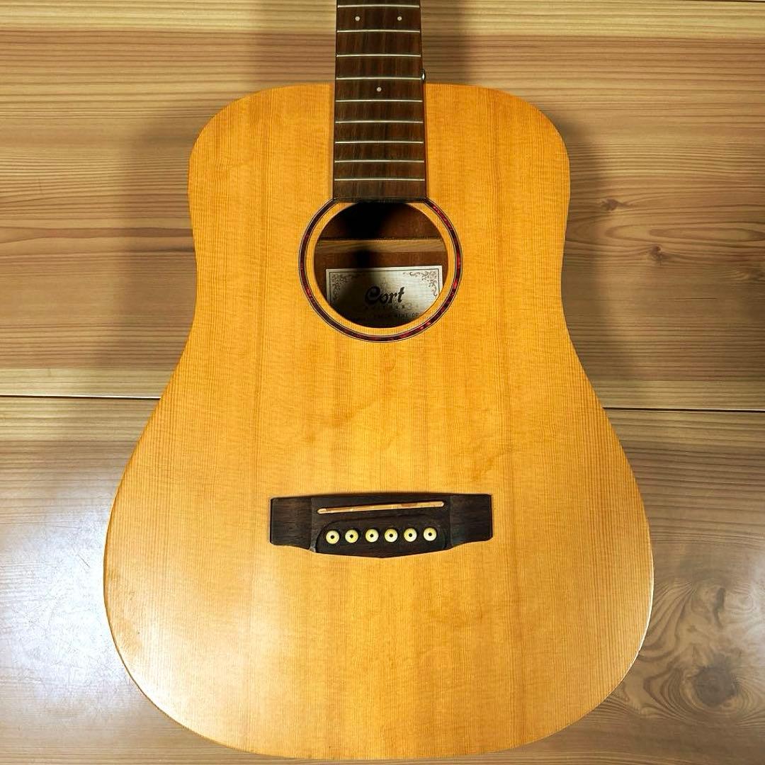 ギター cort Earth MINI