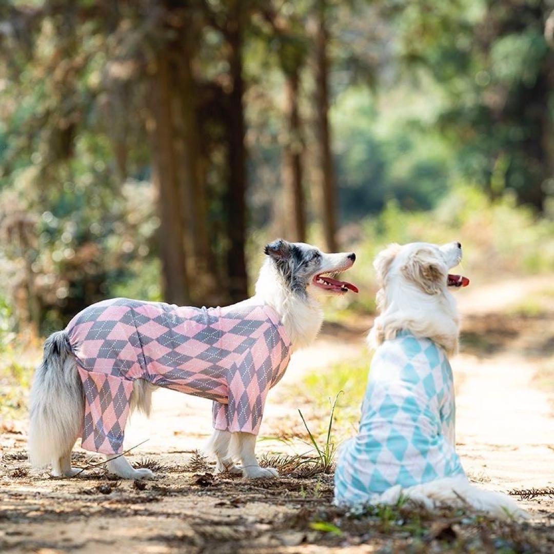犬服2枚レインコート2枚