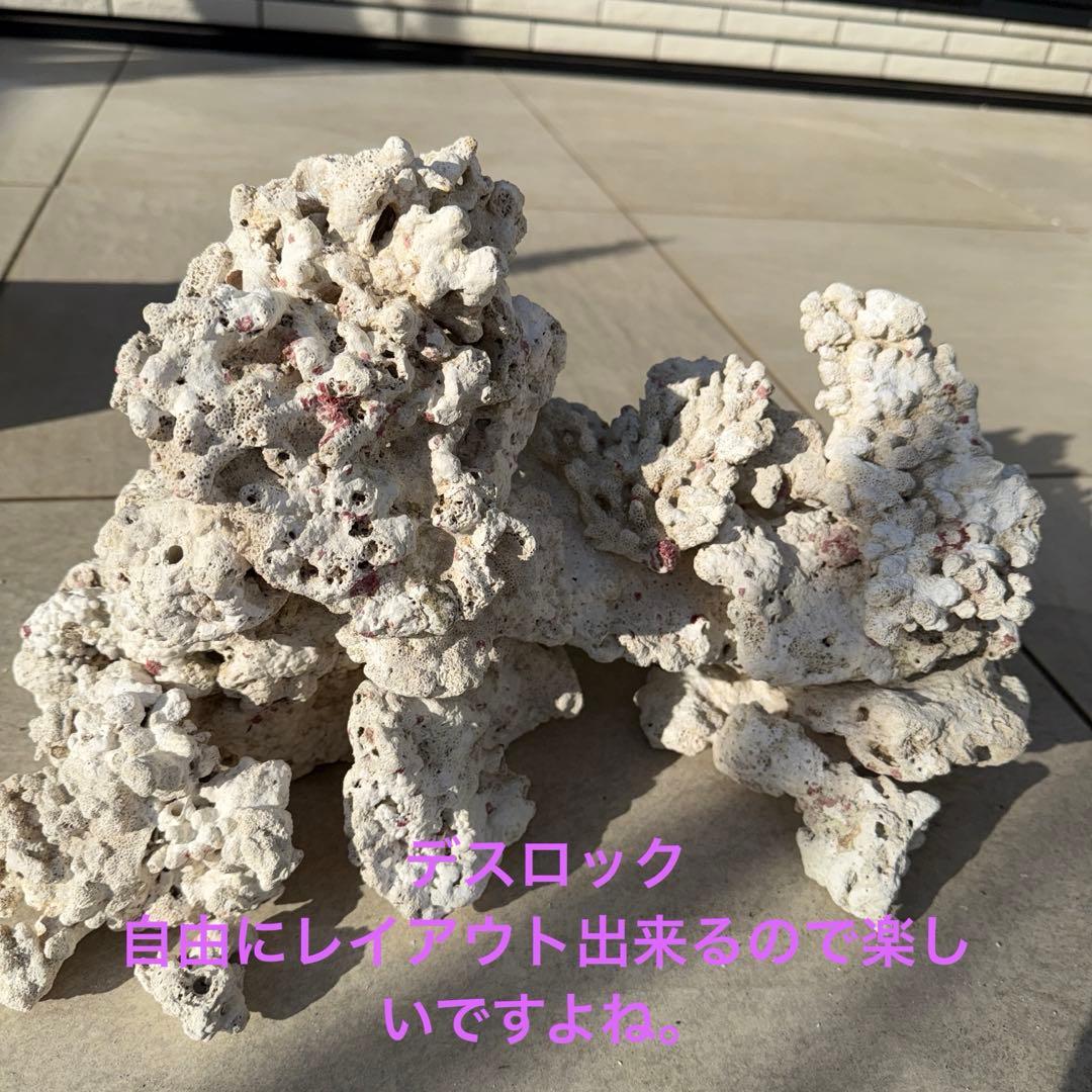 【値下げ】ガラス水槽 SET※ ゆとさん専用