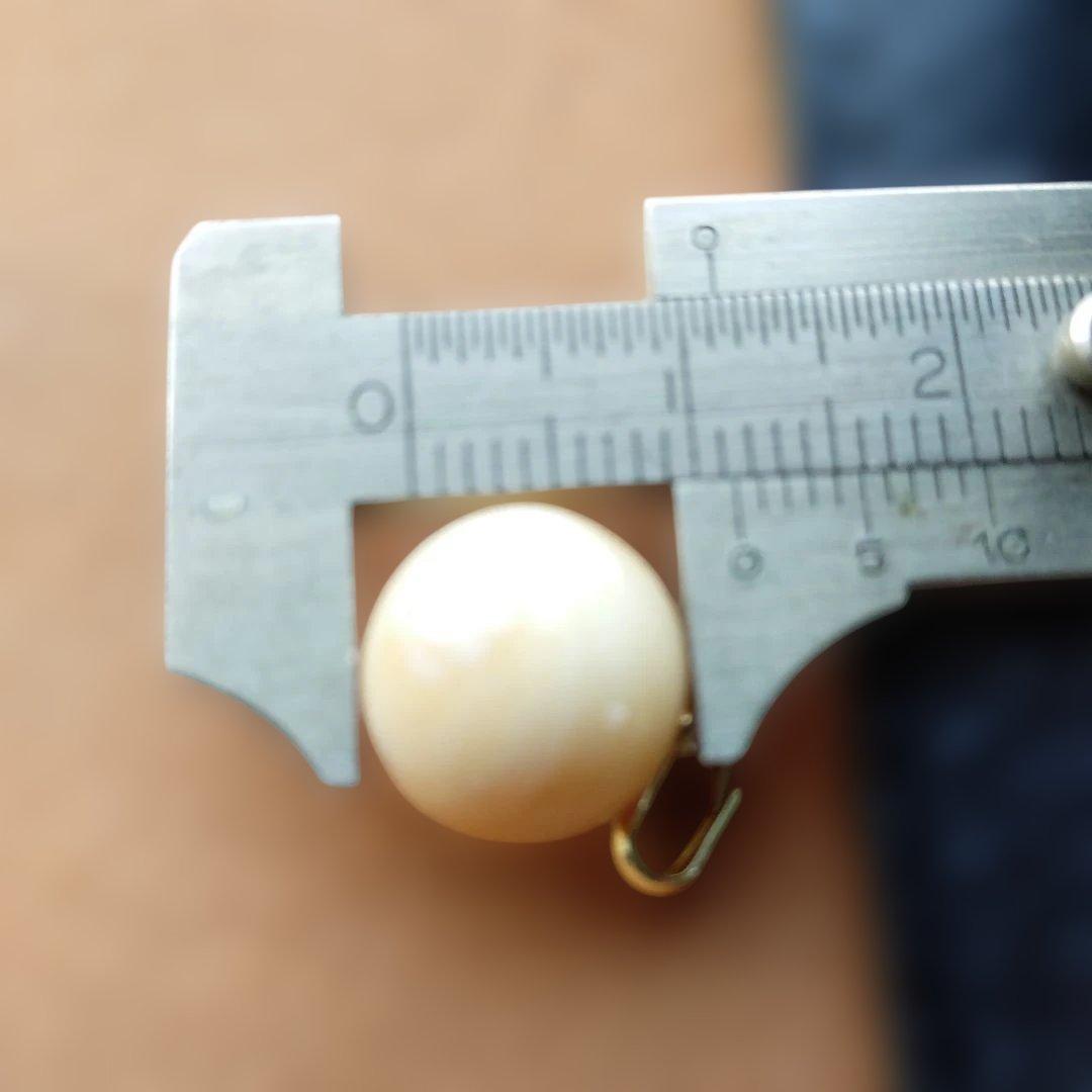 鯨歯　マッコウクジラ　牙玉ペンダントトップ　11.5㎜　10個　②