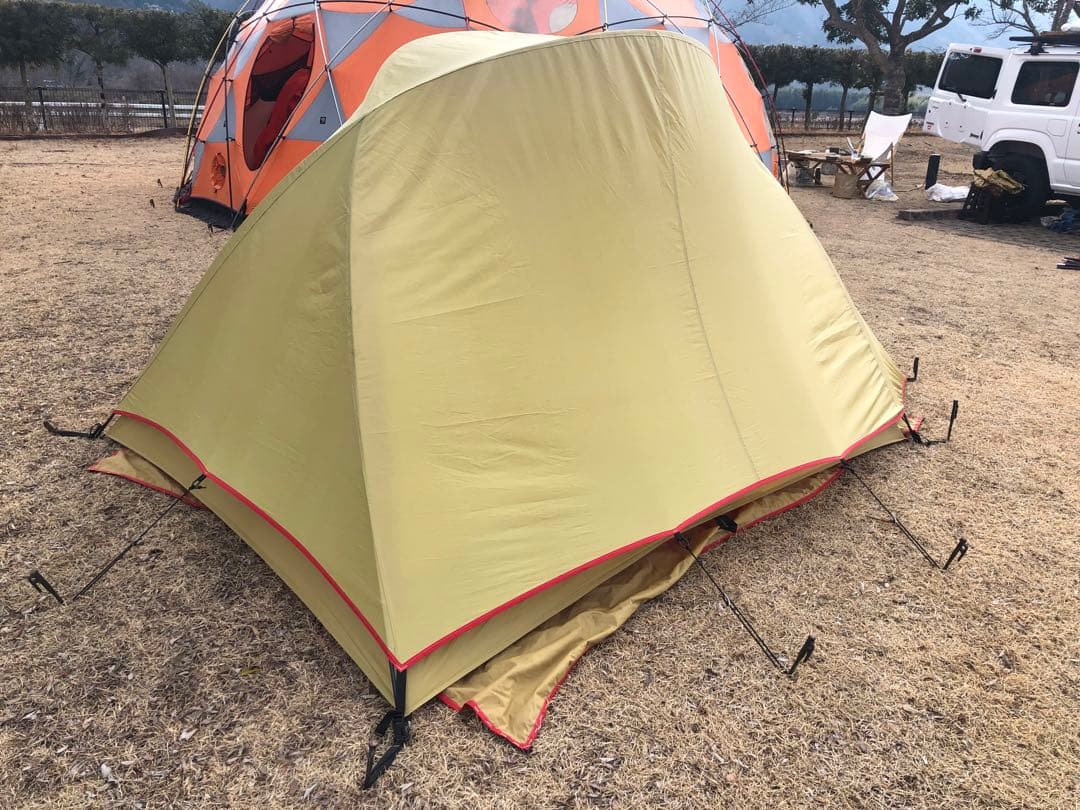 極上品⭐︎ Moss Stargazer モステント・スターゲイザー