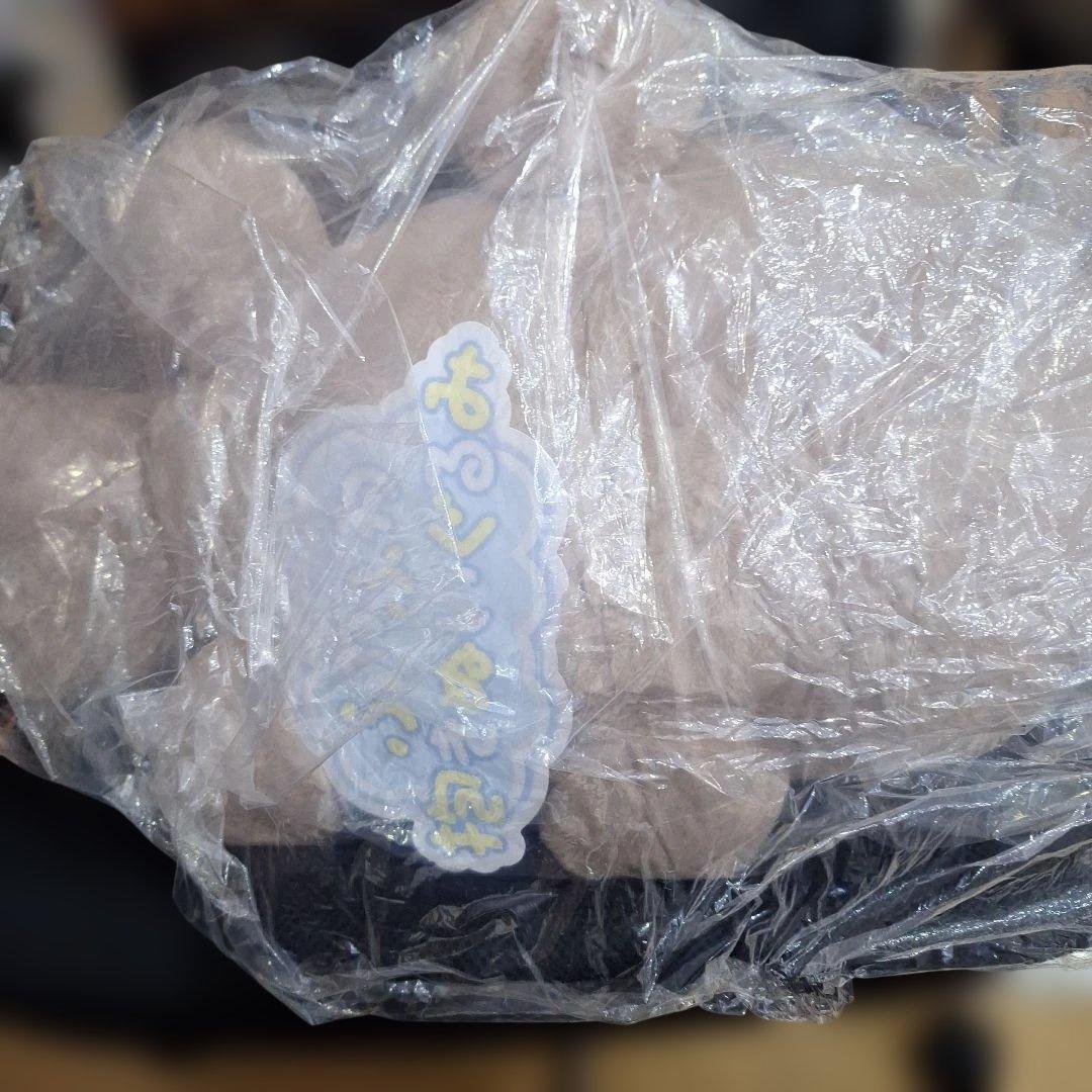 未開封　ドオー　ふわふわ抱きぬいぐるみ　モウドクキケン　ポケモンセンター