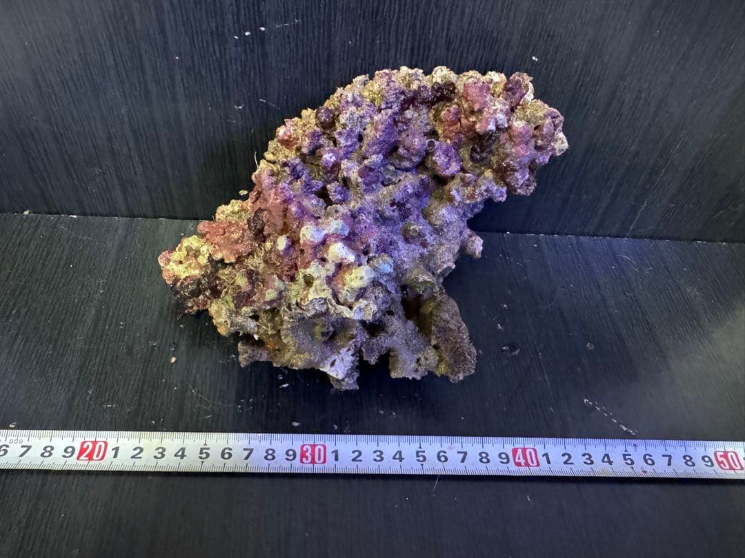 ナカジ 天然ライブロック 6.4kg (7個)