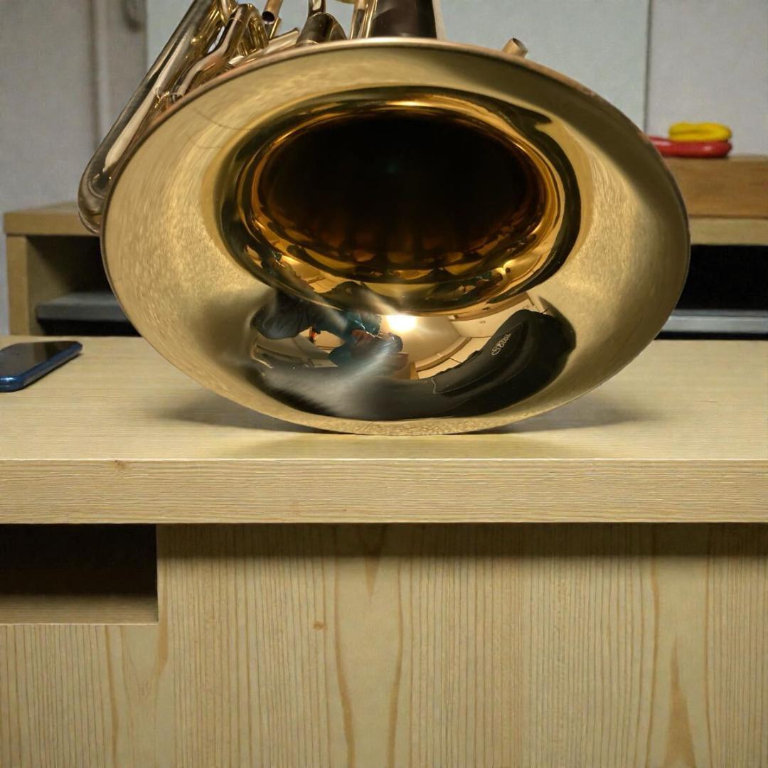 Soleil ソレイユ ユーフォニアム SEU/GD セミハードケース ジャンク