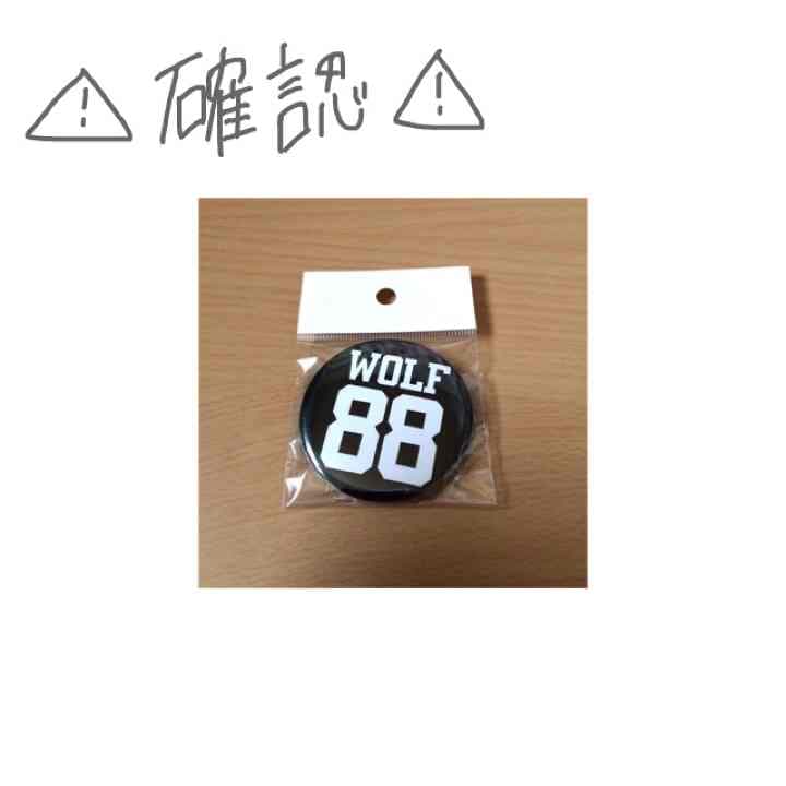 EXO  WOLF 88  缶バッチ