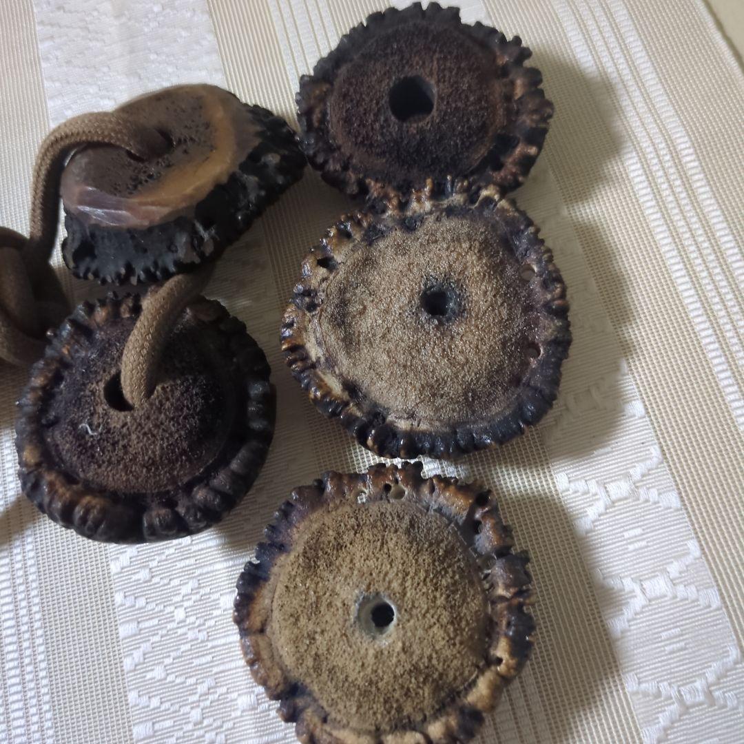 御専用　アイヌ玉　浅葱色　アントラー根付