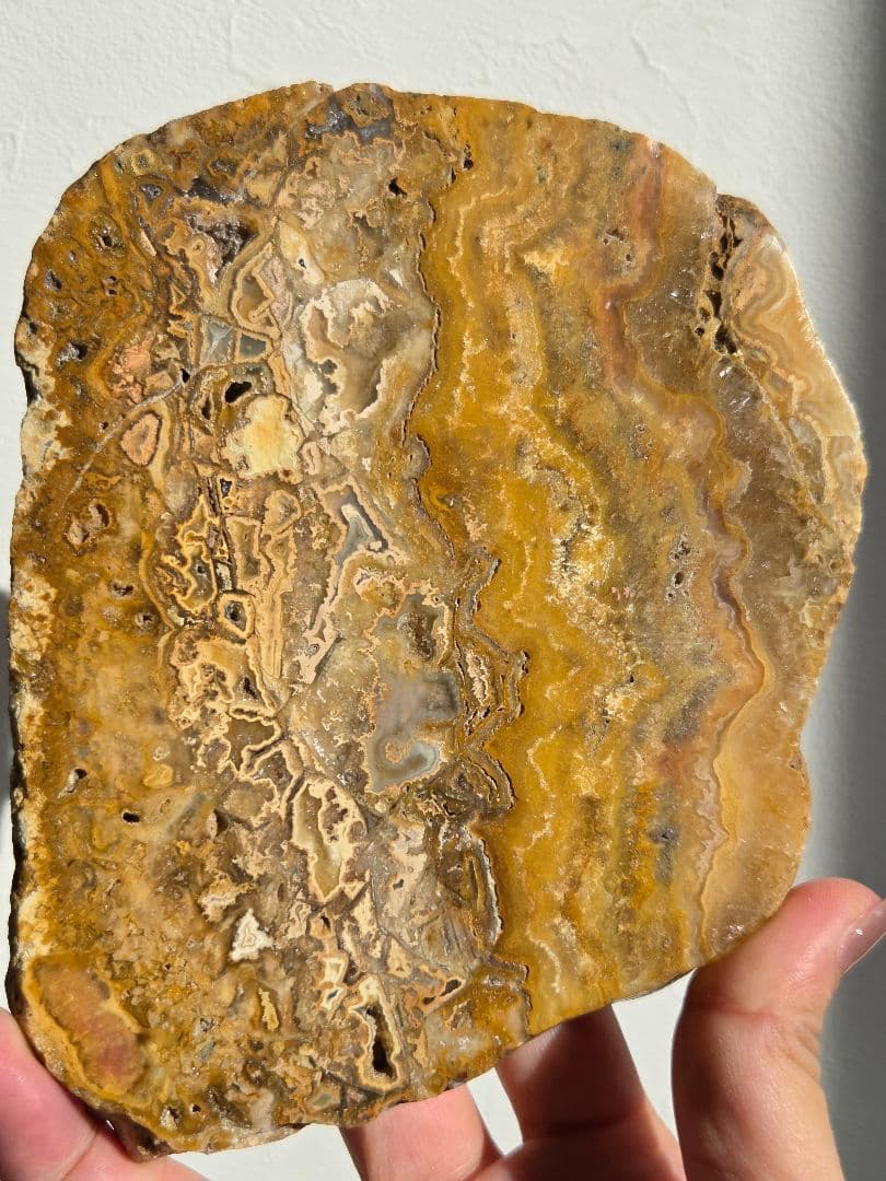 イエロークレイジーレースアゲートスラブ