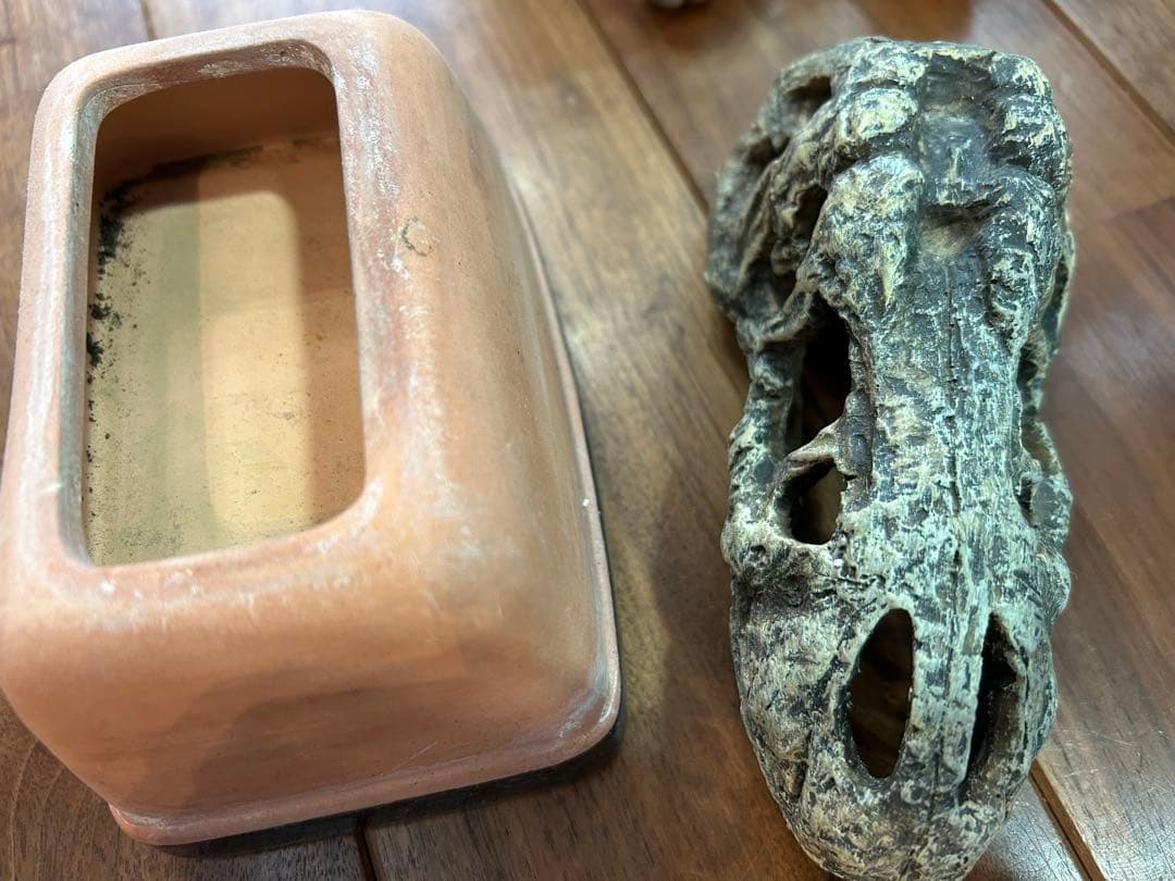 爬虫類飼育セット uvライト 紫外線ライト付き