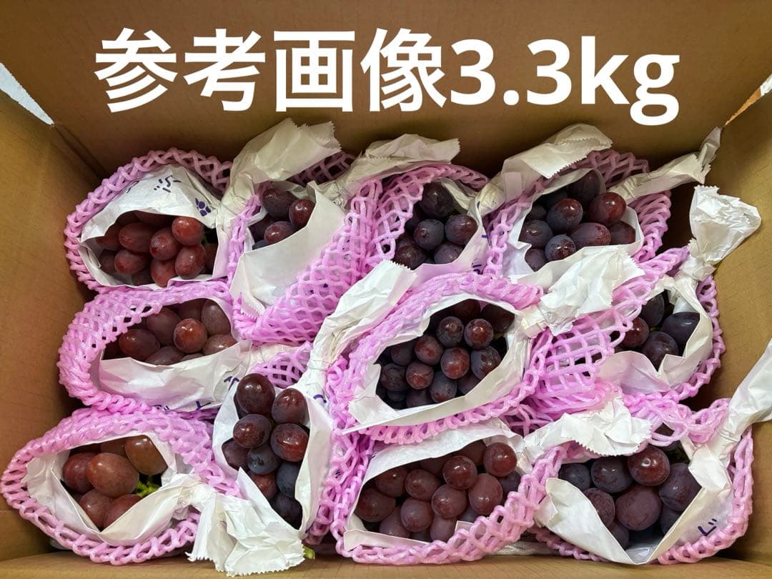 発送日おまかせ！クイーンルージュ約3〜3.3kg（房数おまかせ）お得ご家庭用