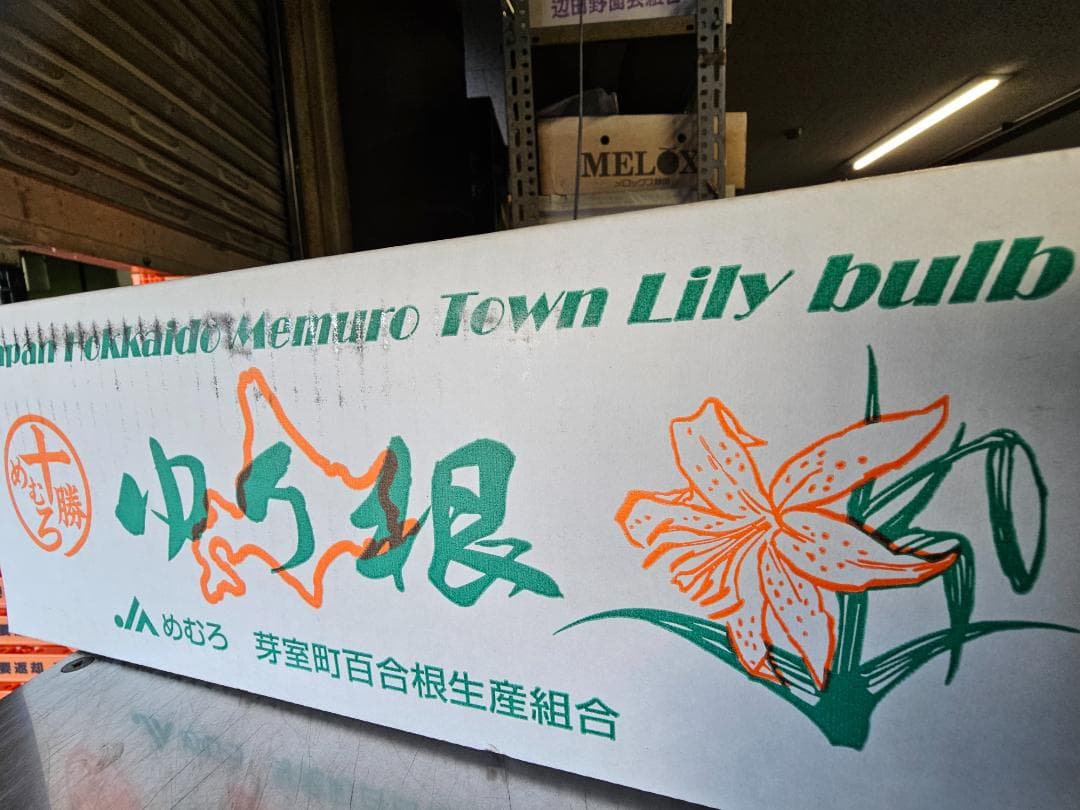 aoi-soranomukou様用　百合根　ゆりね　特大2L　33個入り　5K