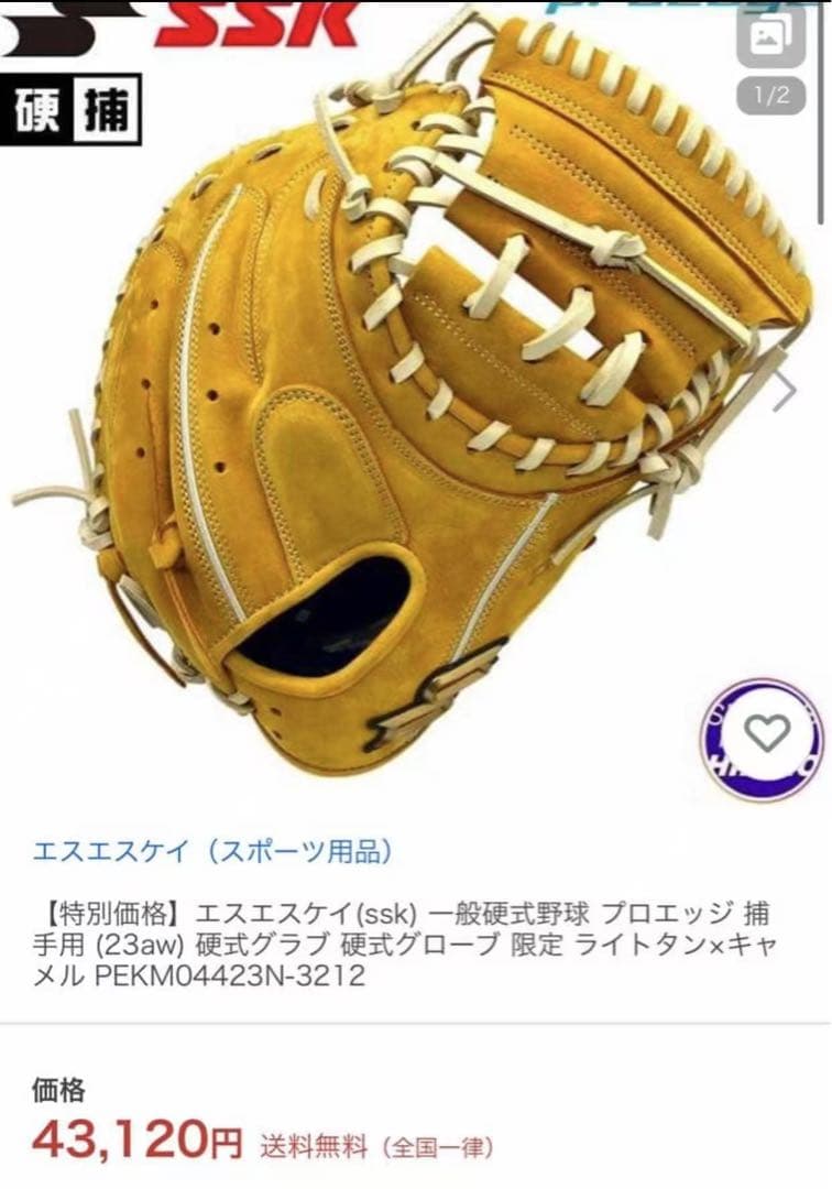 エスエスケイ(ssk) 一般硬式野球 プロエッジ 捕手用 (23aw)