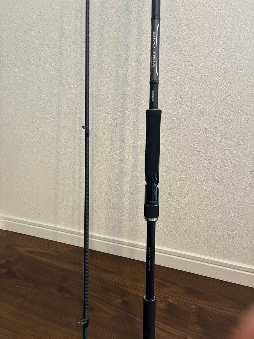 SHIMANO DIALUNA シーバスロッド