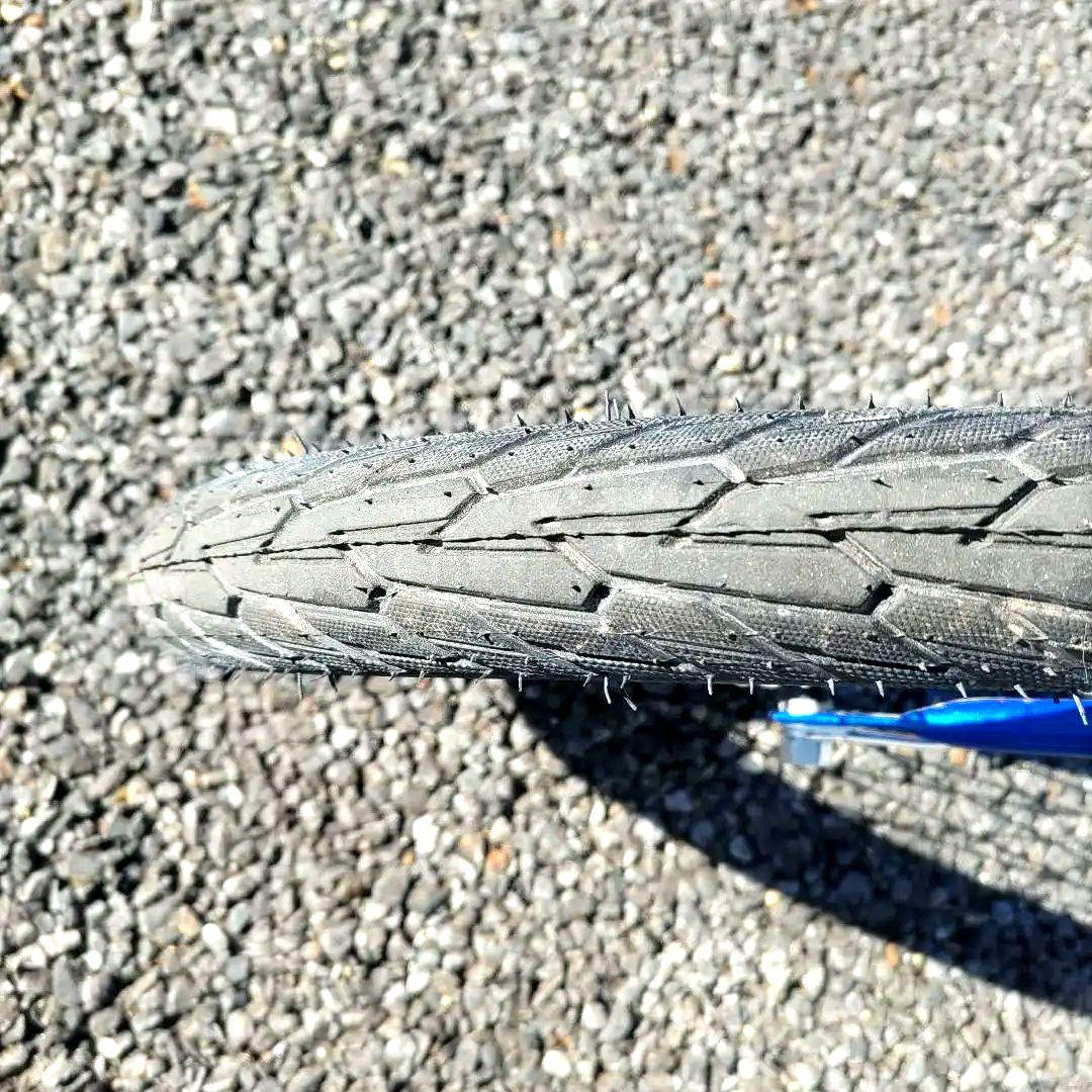 やりろーるダホン 折り畳み オールドダホンⅢ 7速仕様 old dahon