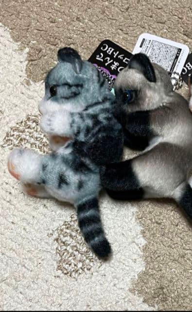 猫つまんでマスコットBC　猫　ぬいぐるみ　猫つまんで　マスコット　リアルアニマル