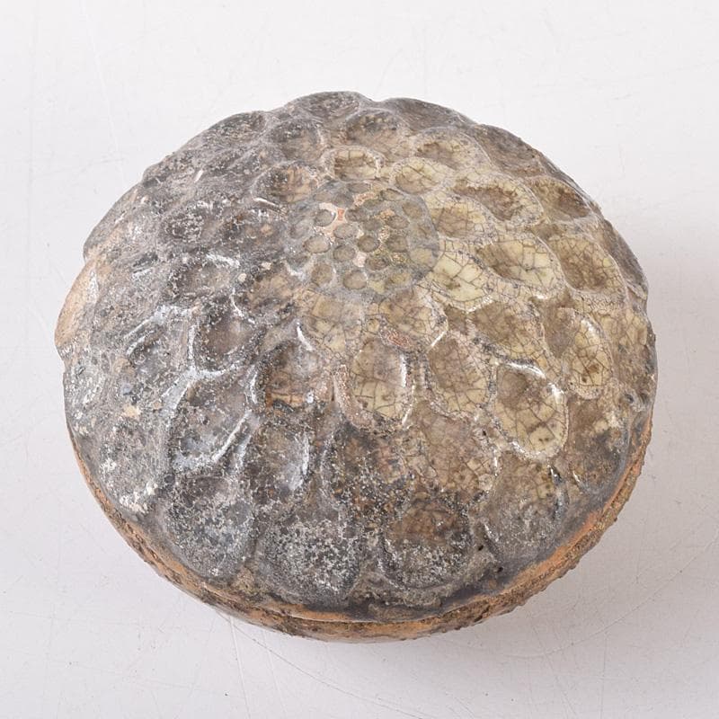 茶道具　大樋焼　菊形　香合　時代箱　N　7468