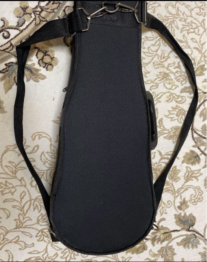 バイオリン イーストマン　本体とケース付き