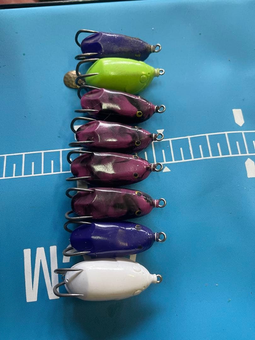 雷魚　フロッグ