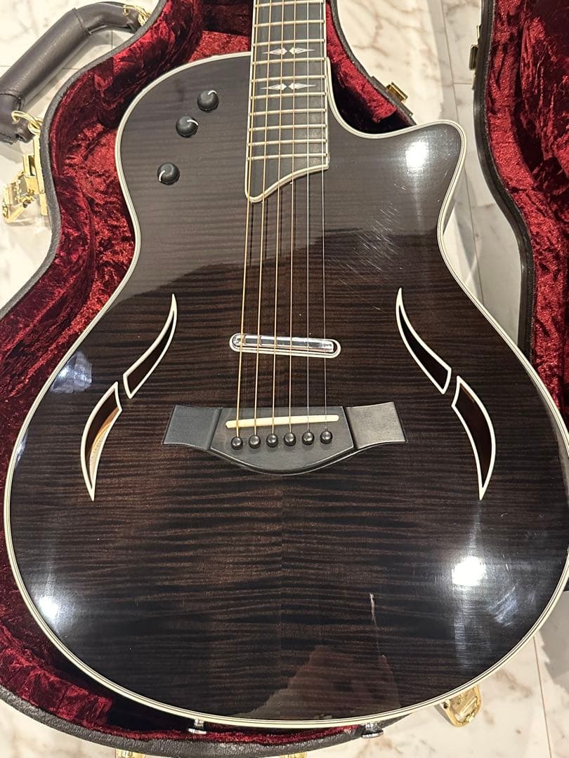 テイラーTaylor T5z Pro GAL