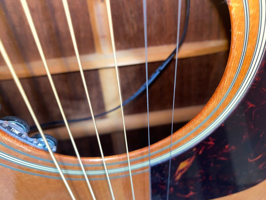 アコースティックギター　fender