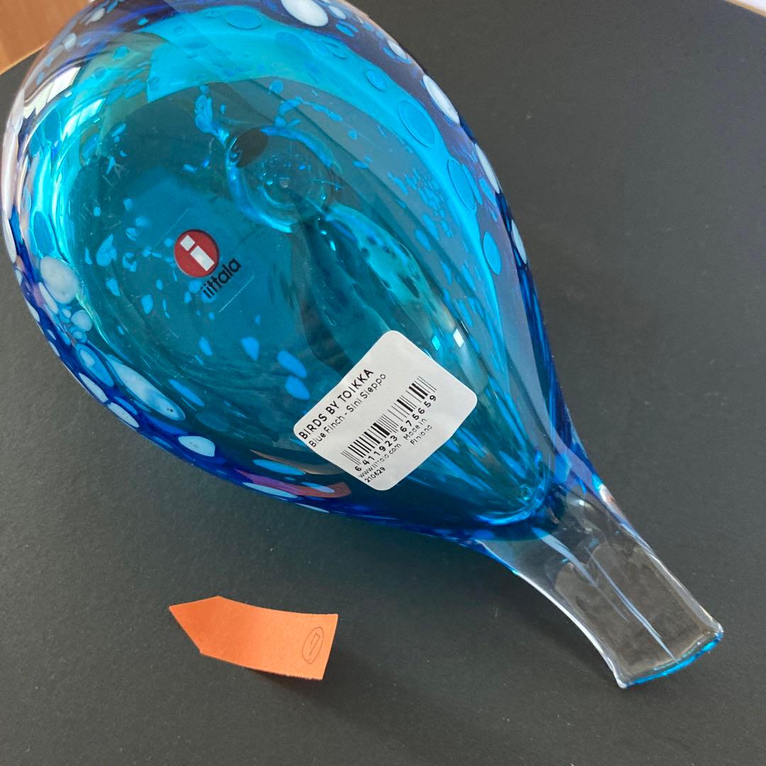 イッタラバード　ブルーフィンチ　blue finch ⑦