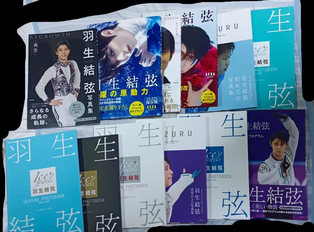 羽生結弦 写真集 フォトブック 14冊セット フィギュアスケート