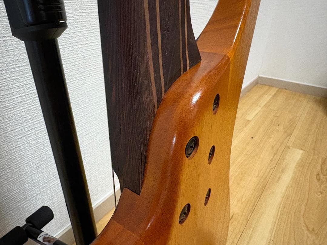 ベース Ibanez EHB1135MS SKL