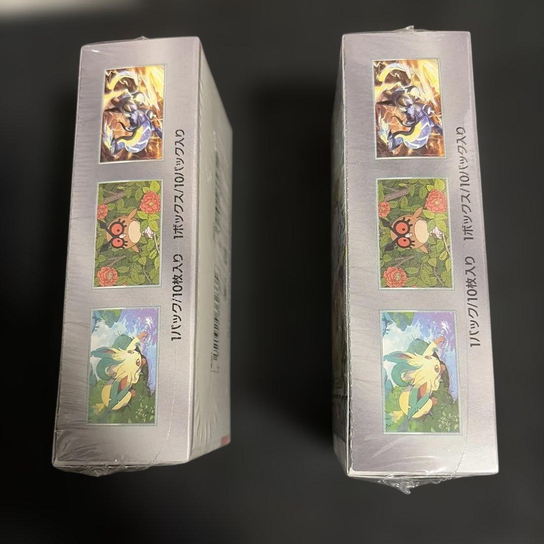 ポケモンカードゲーム テラスタルフェスex シュリンク付き　2個セット