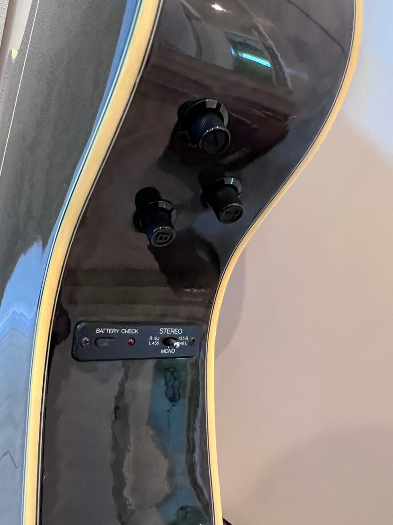 YAMAHA APX-10s BLB #002 日本製①