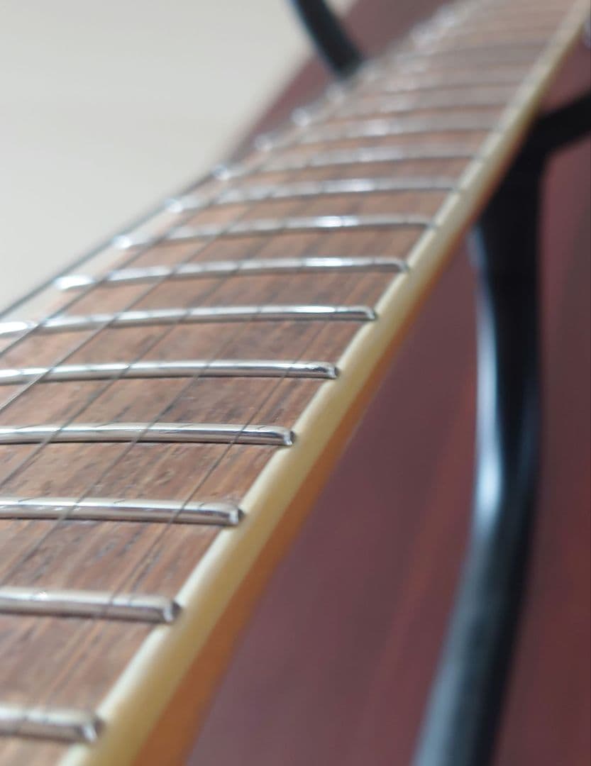 Ibanez RGT3170 ラッカー塗装　ステンレスフレット