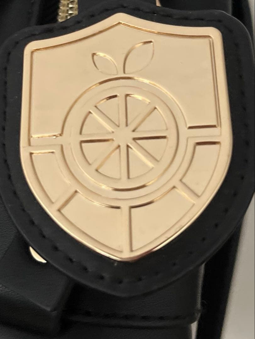 ポケモンSV オレンジアカデミーバッグ