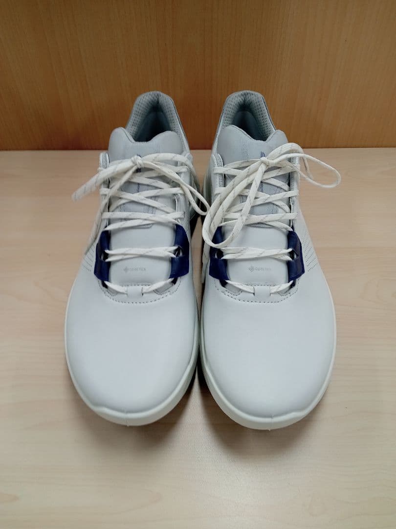 ECCO GOLF メンズ ゴルフシューズ 40サイズ