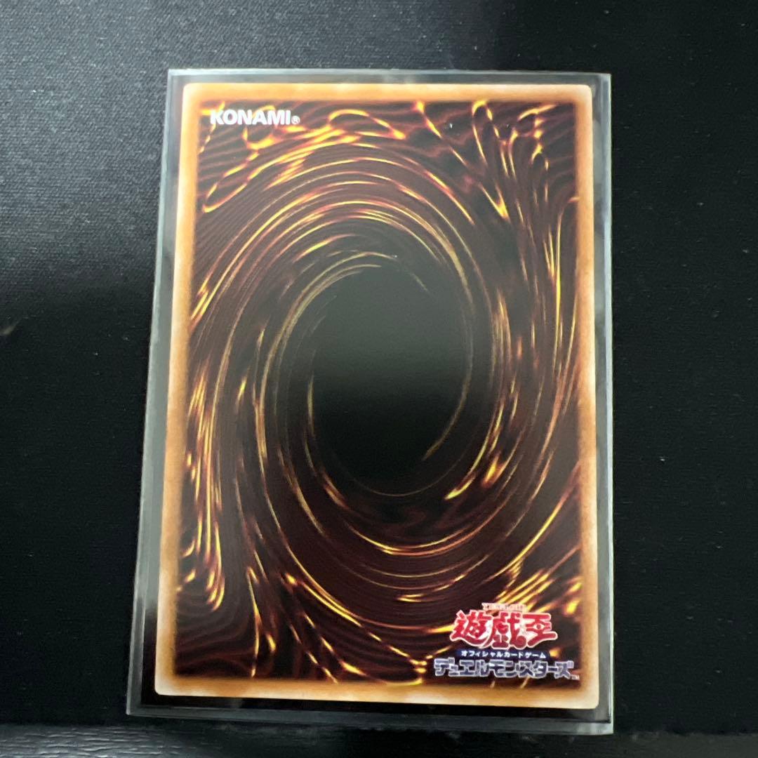 大輪の霊使い プリシク