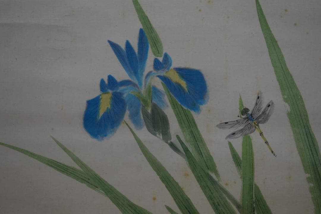 真作/赤松雲嶺/菖蒲に蜻蛉図/トンボ図/桐共箱二重箱付/布袋屋掛軸HG-433