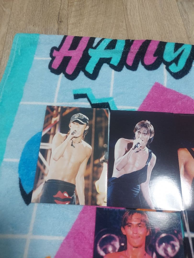 B'z　稲葉浩志　1993　渚園　バラ売り○