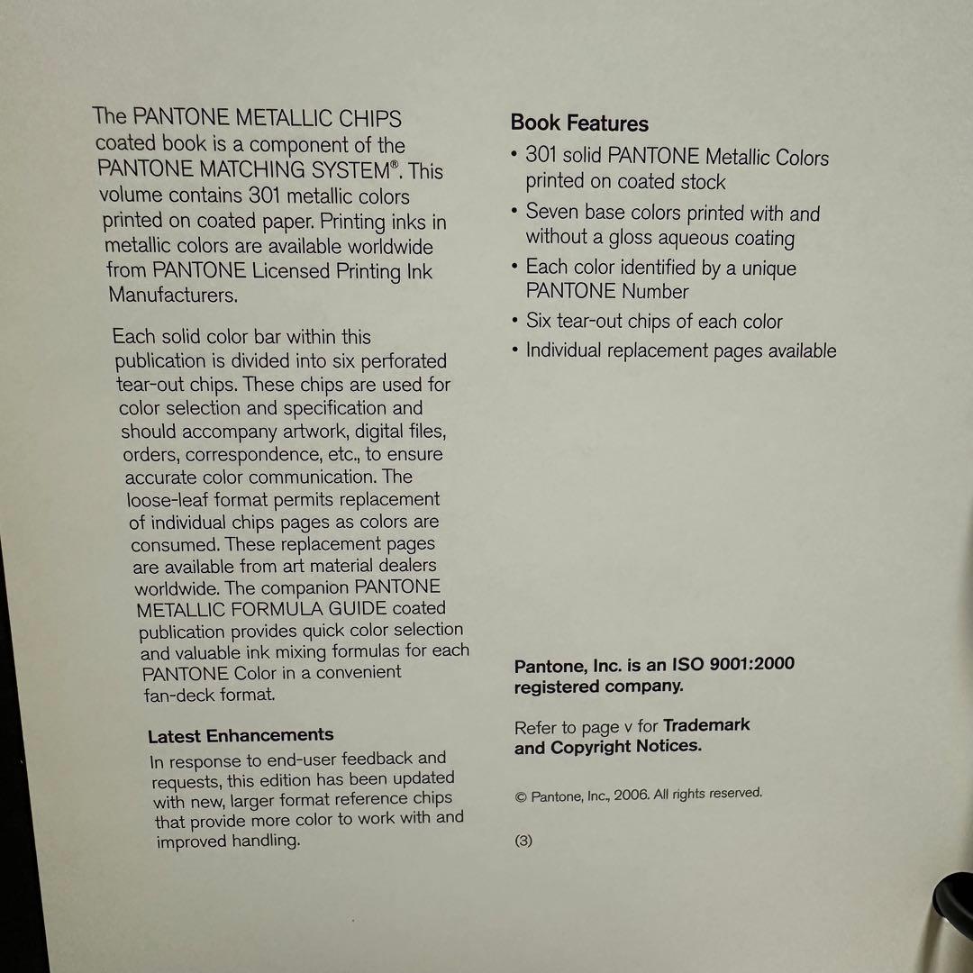 【早い者勝ち！】パントンメタリックチップスコート/正規品中古保管品