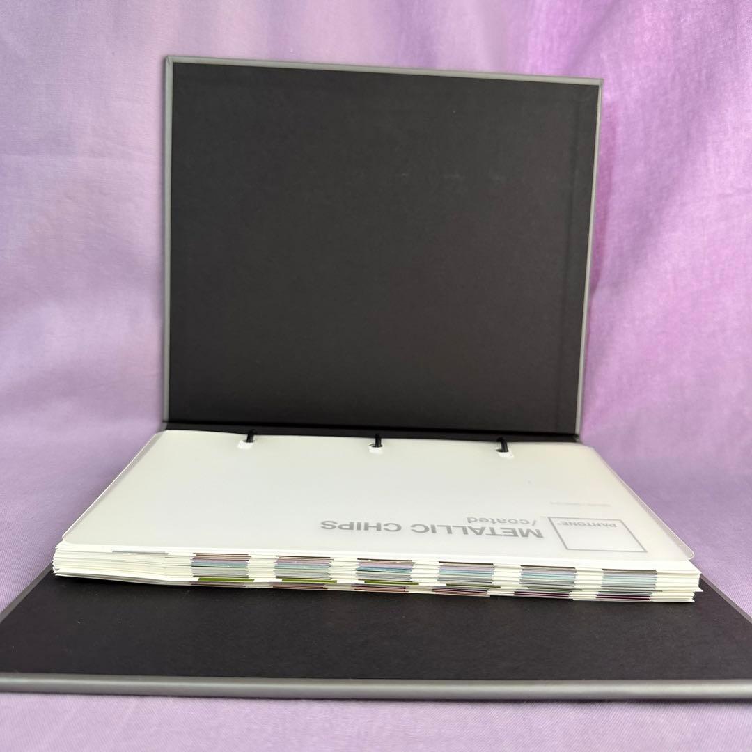 【早い者勝ち！】パントンメタリックチップスコート/正規品中古保管品