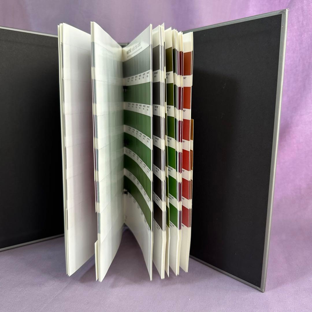 【早い者勝ち！】パントンメタリックチップスコート/正規品中古保管品