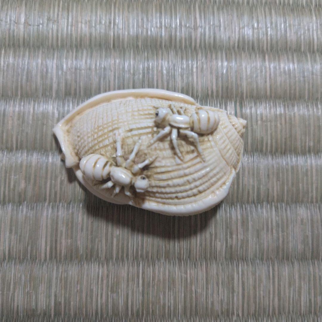 マンモス牙彫　根付　帯留　貝殻に蟻