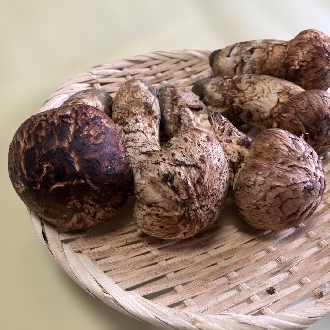 岩手県産松茸　472g