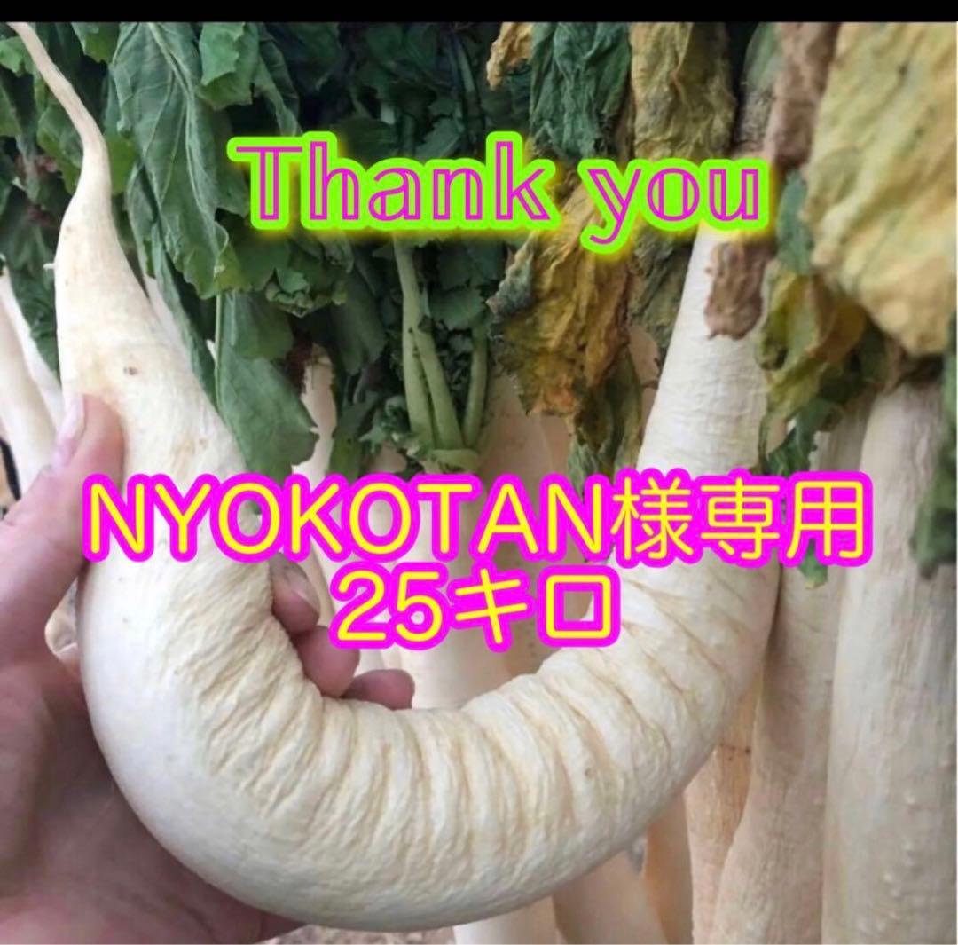 野菜 NYOKOTAN