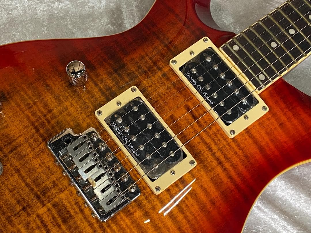 Y1157 gfc GPR-350 Amber/LH アウトレット