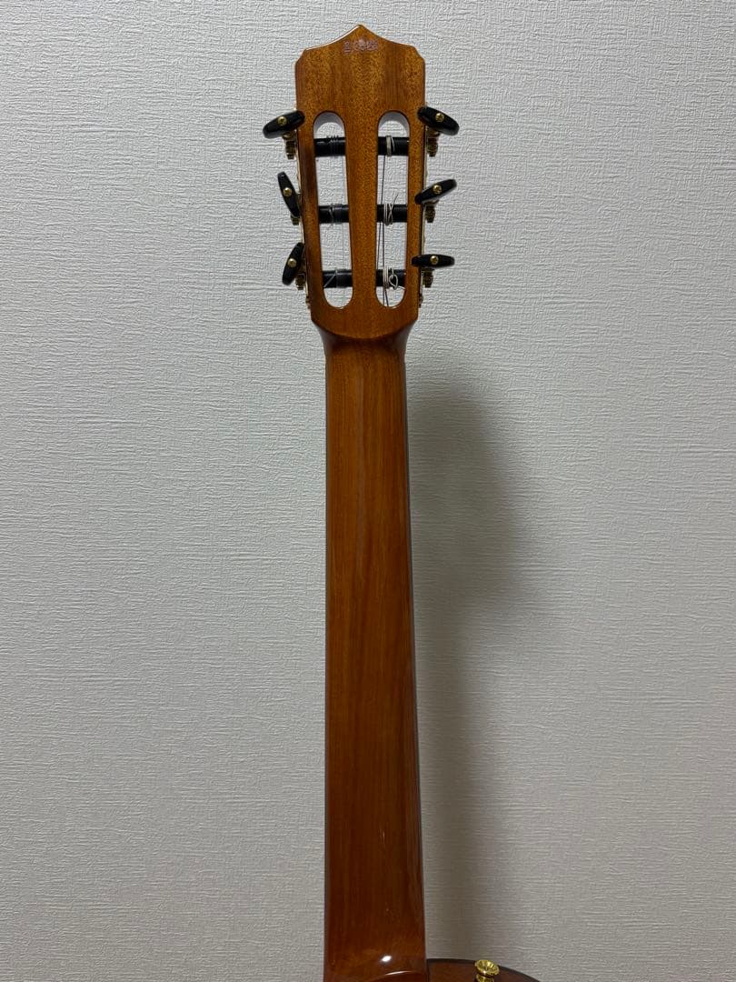 【美品】Cordoba コルドバStage Guitar Amber エレガット