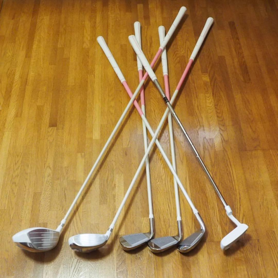 ワールドイーグル WE-101 レディース ゴルフ 6本セット L