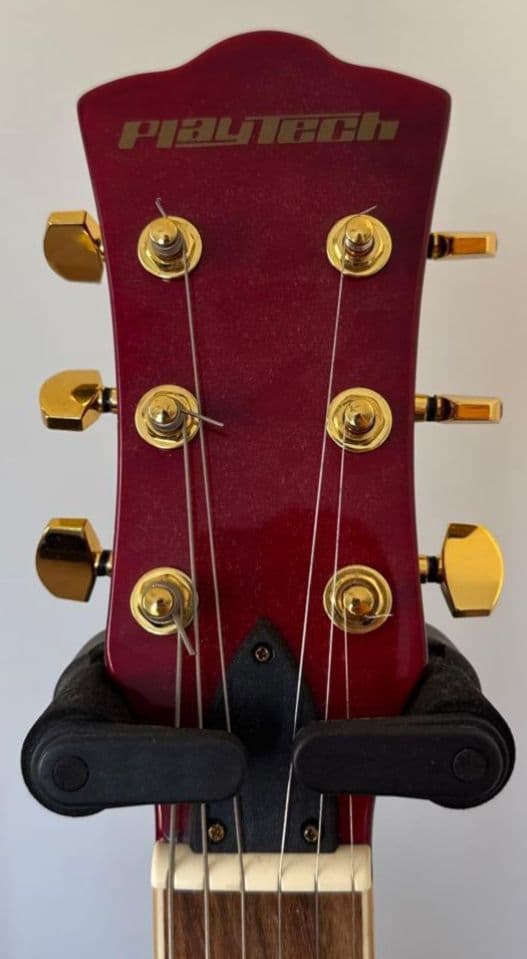 ギター playtech sa500