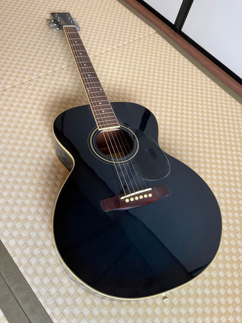 sepia crue アコースティックギター ブラックブルー