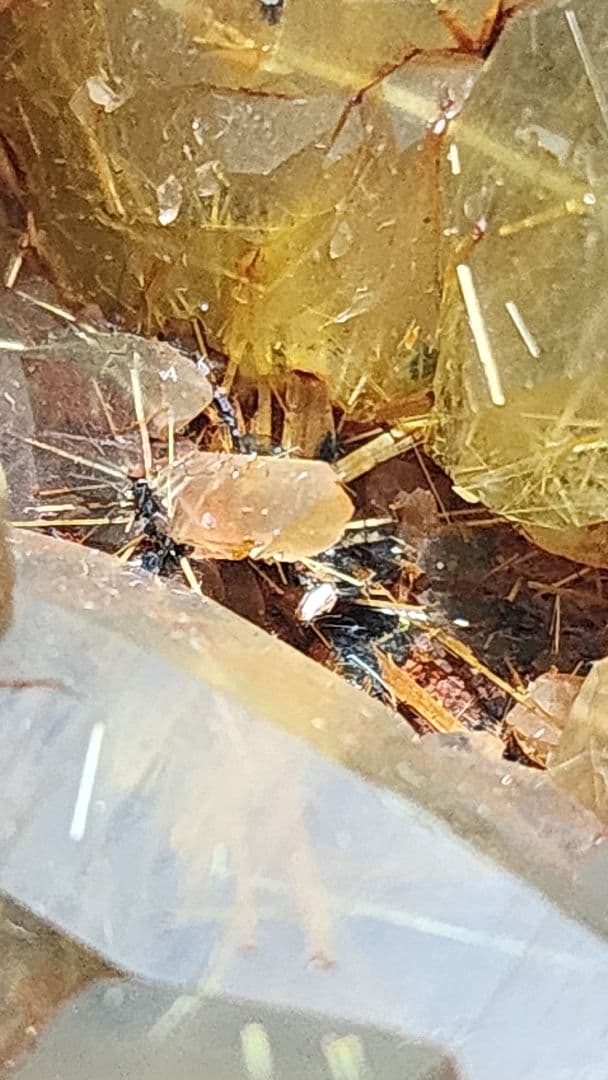 金色のルチルチタンクォーツクラスター