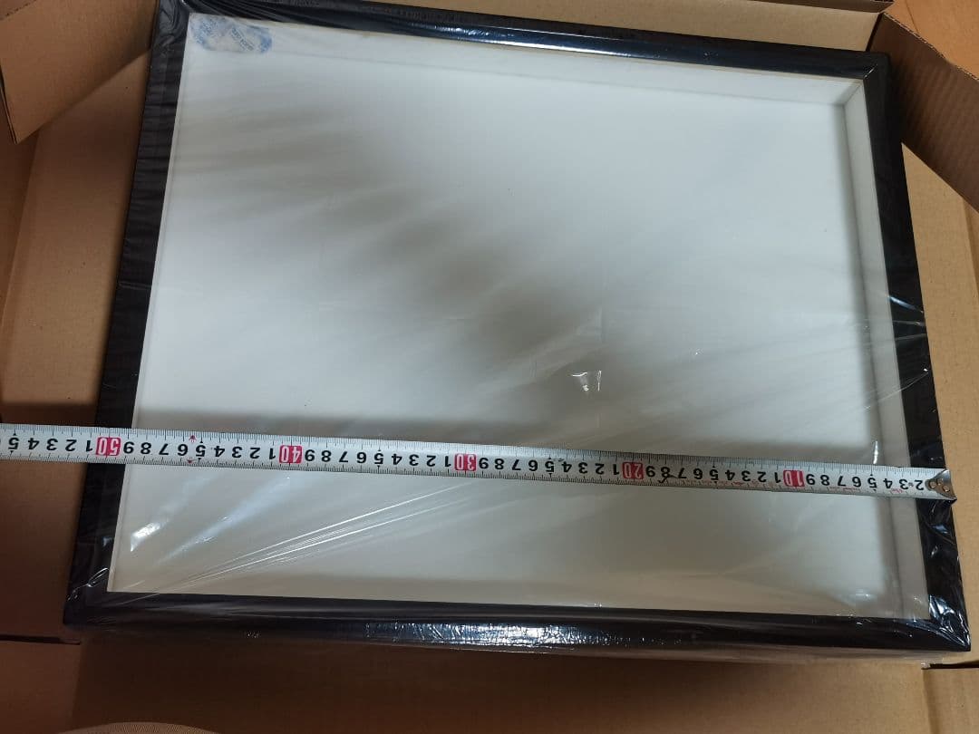 ドイツ型標本箱 5個セット 昆虫標本 ドイツ箱