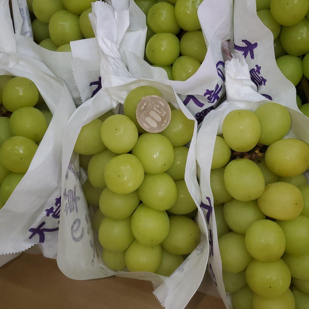 7️⃣7️⃣ 山梨県産 シャインマスカット 箱込み5.7キロ