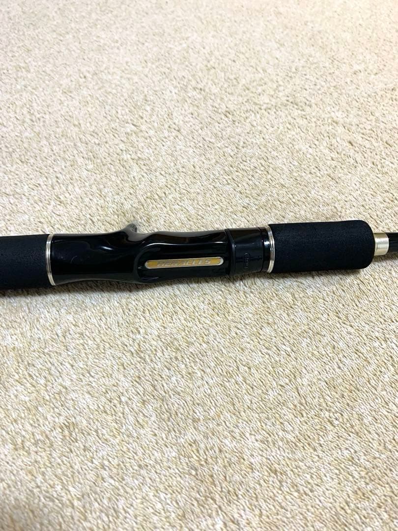 エバーグリーンThe Airregius HCSC-66ML