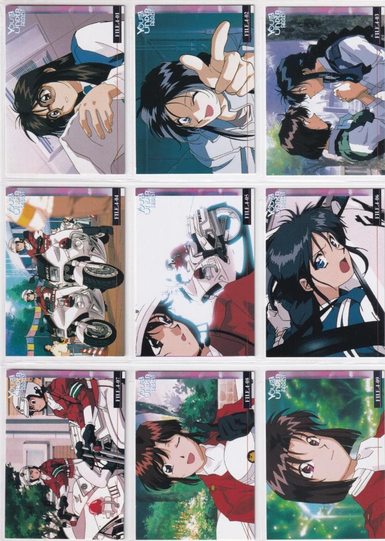 逮捕しちゃうぞ トレーディングカード 藤島康介 全種類フルコンプ